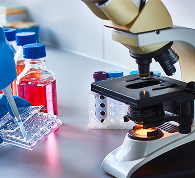 Cell Sorting Market by End-users and Geography - Forecast and Analysis 2019-2023